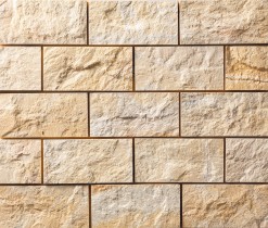 イエロースプリット