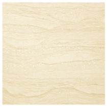 パラディオオイスター